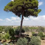 L'arca בית הארחה מרסאלה