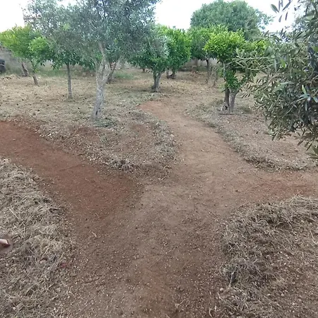 L'arca בית הארחה מרסאלה