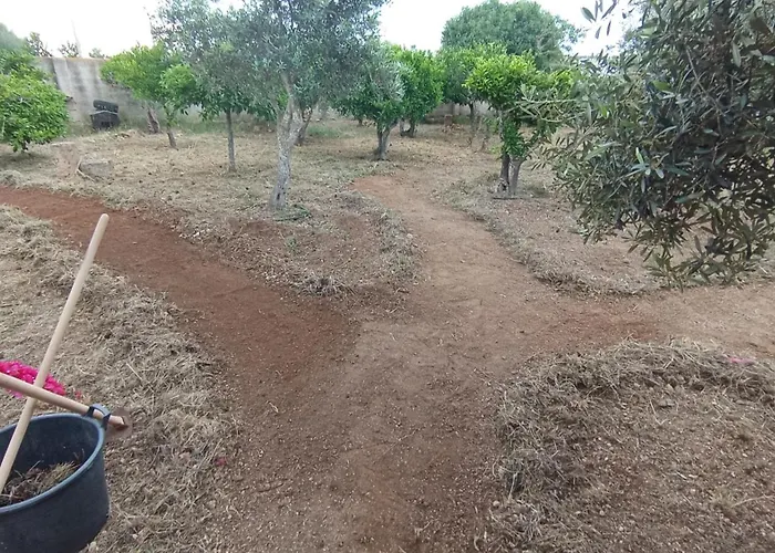 L'arca Pensjonat Marsala
